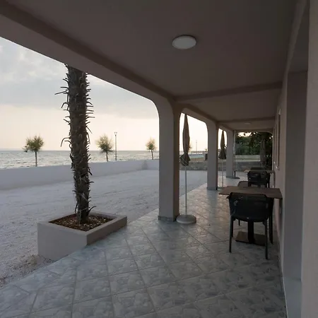 Sandrea *